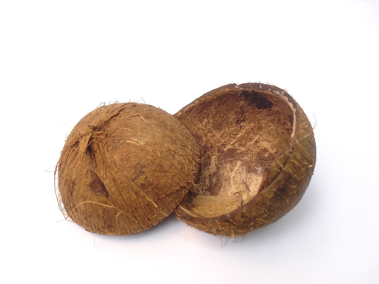 Casca de coco vazia partida ao meio sobre fundo branco