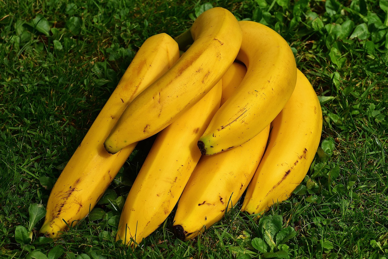Bananas maduras, com pintas escuras na casca, o ponto certo para a receita