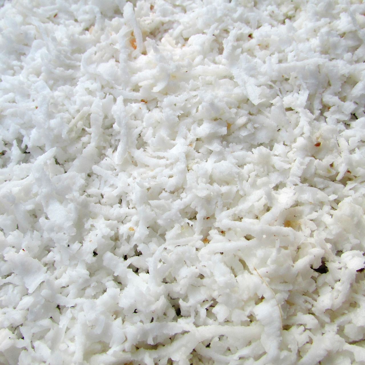 Coco ralado fresco, ingrediente principal do quindim
